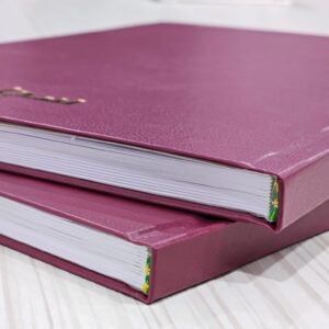 سجل وثيقة الخروج